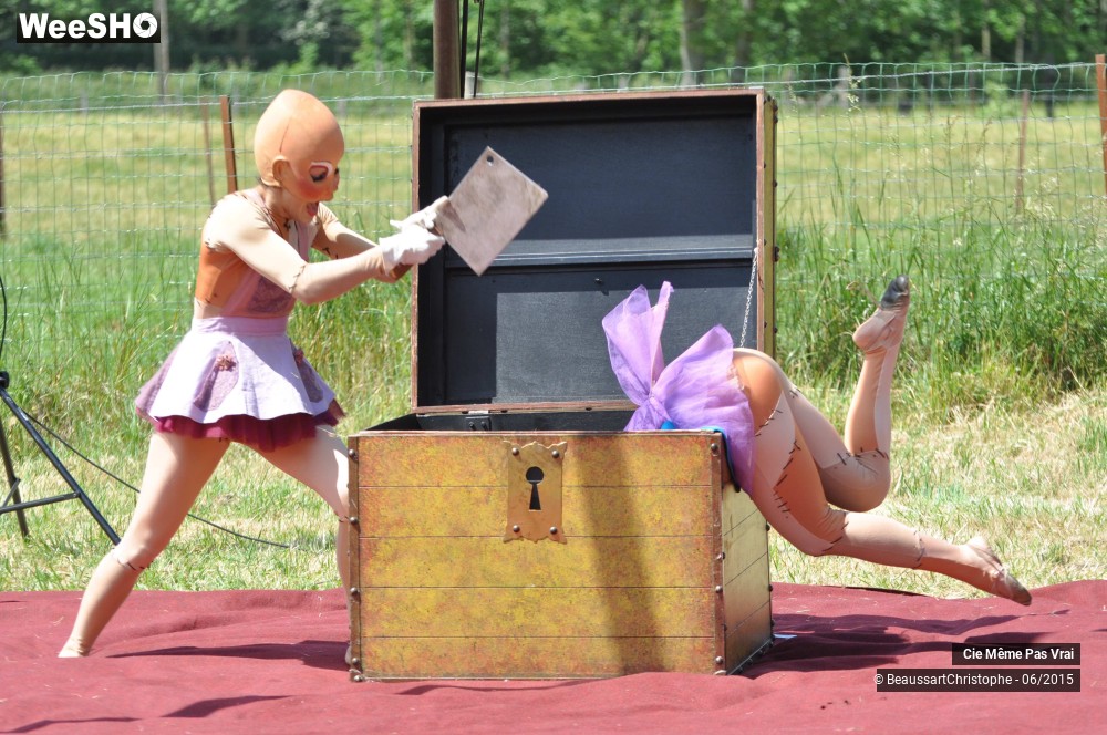 20/49 photos du spectacle Les petites horreurs