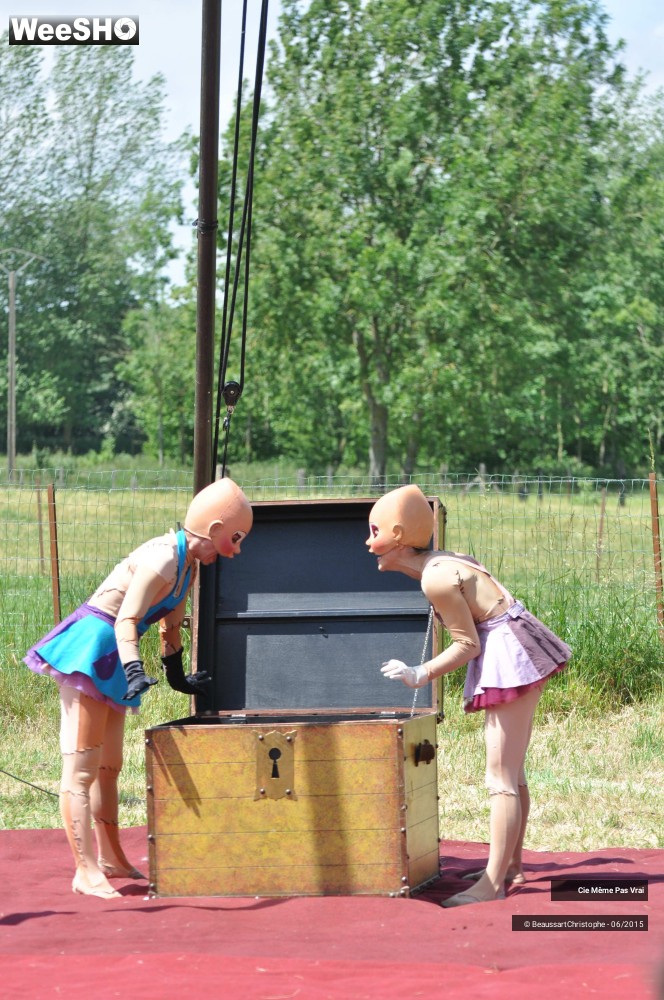 25/49 photos du spectacle Les petites horreurs