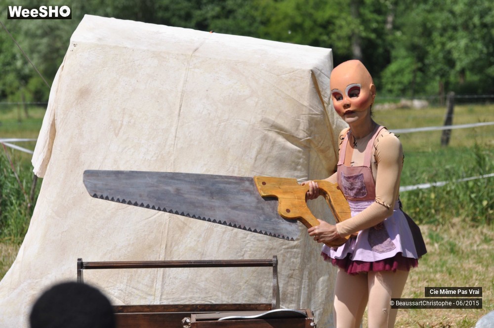 27/49 photos du spectacle Les petites horreurs