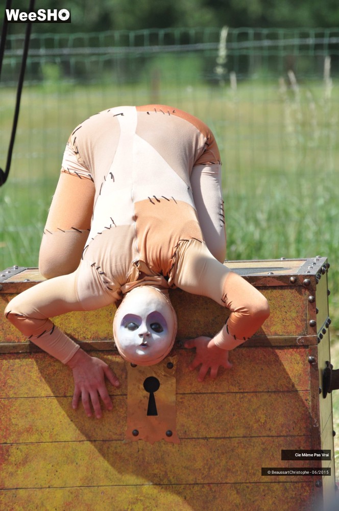 29/49 photos du spectacle Les petites horreurs