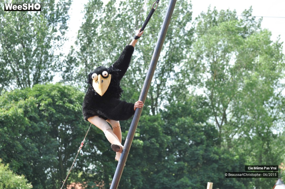 31/49 photos du spectacle Les petites horreurs