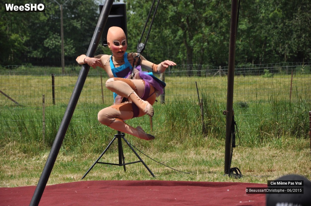 32/49 photos du spectacle Les petites horreurs