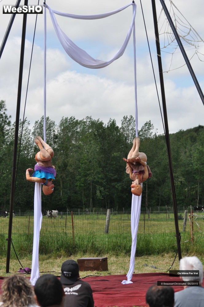 34/49 photos du spectacle Les petites horreurs