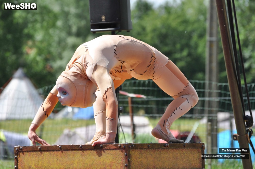 37/49 photos du spectacle Les petites horreurs