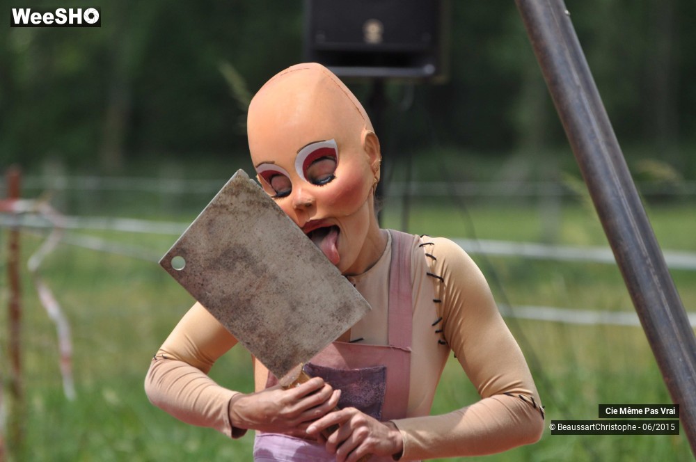 40/49 photos du spectacle Les petites horreurs