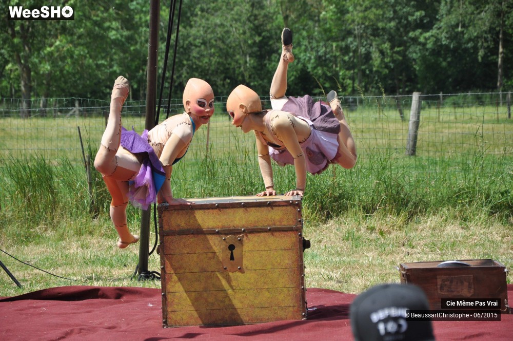 42/49 photos du spectacle Les petites horreurs