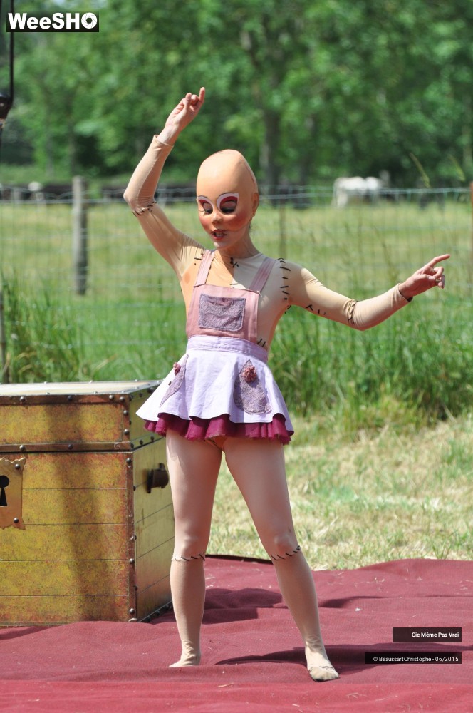 44/49 photos du spectacle Les petites horreurs