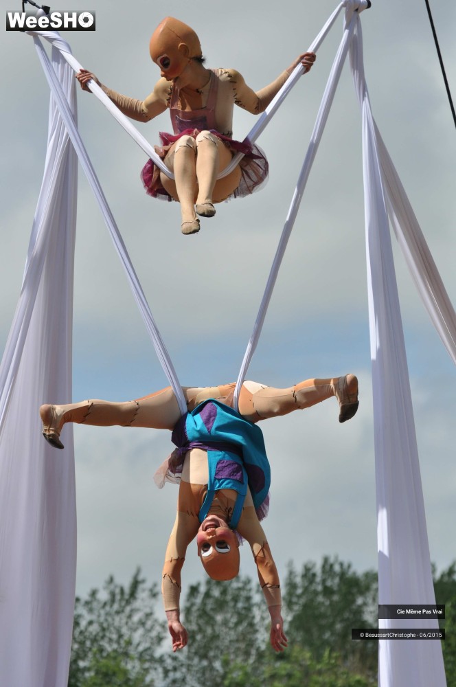 47/49 photos du spectacle Les petites horreurs