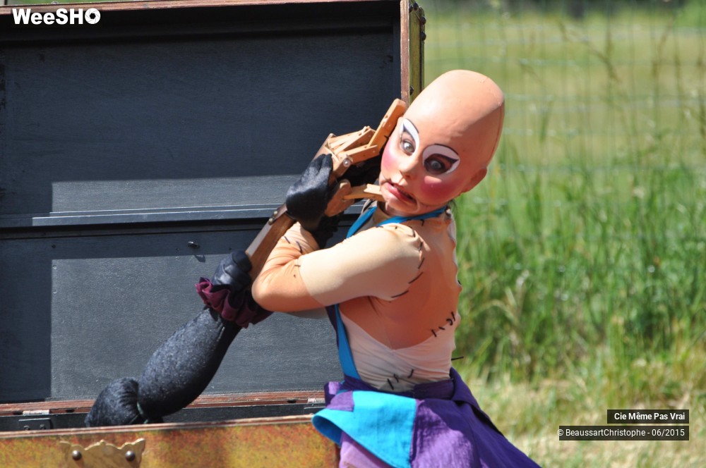 48/49 photos du spectacle Les petites horreurs