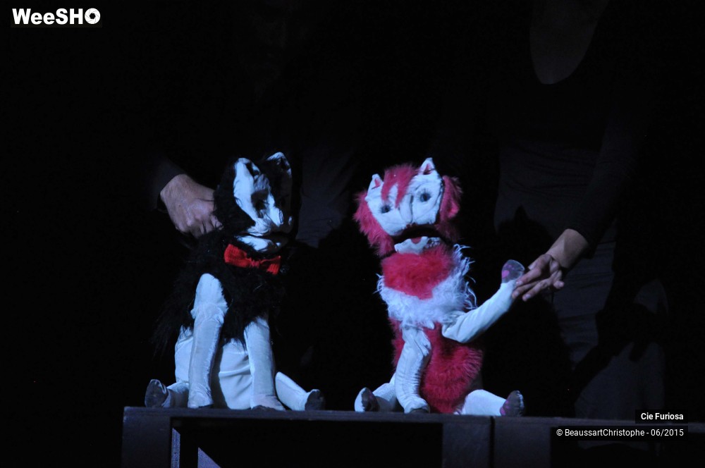 8/23 photos du spectacle Petit éloge de la désobéissance