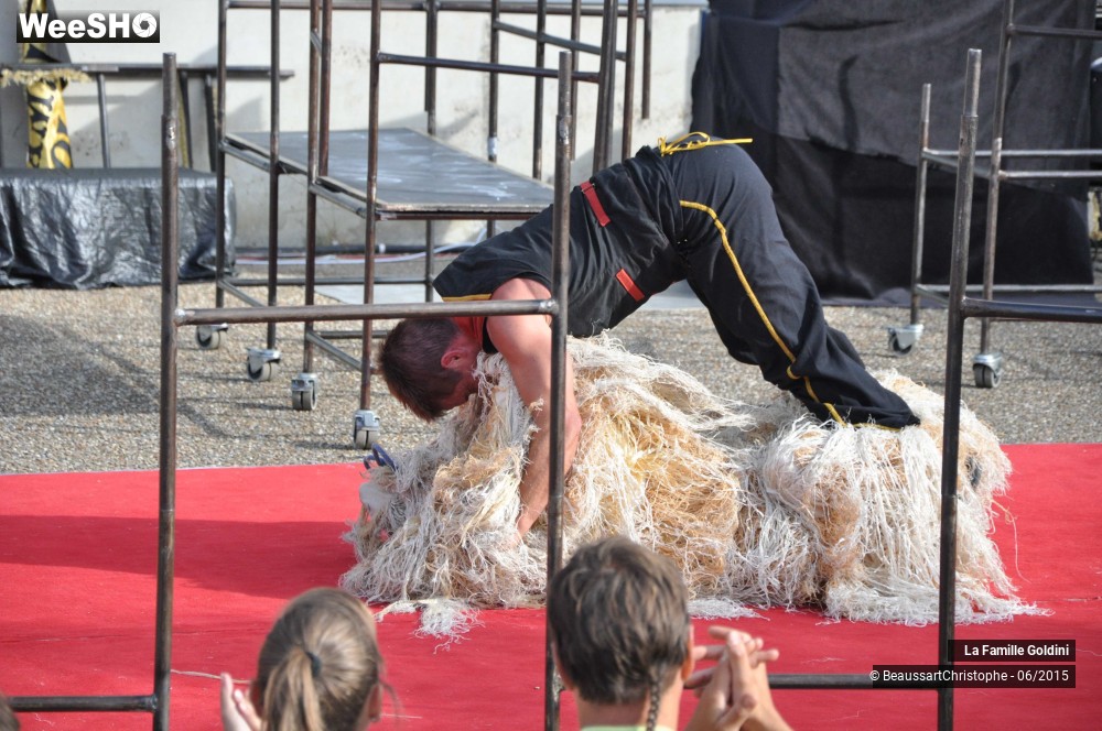19/38 photos du spectacle Du plomb dans le gaz