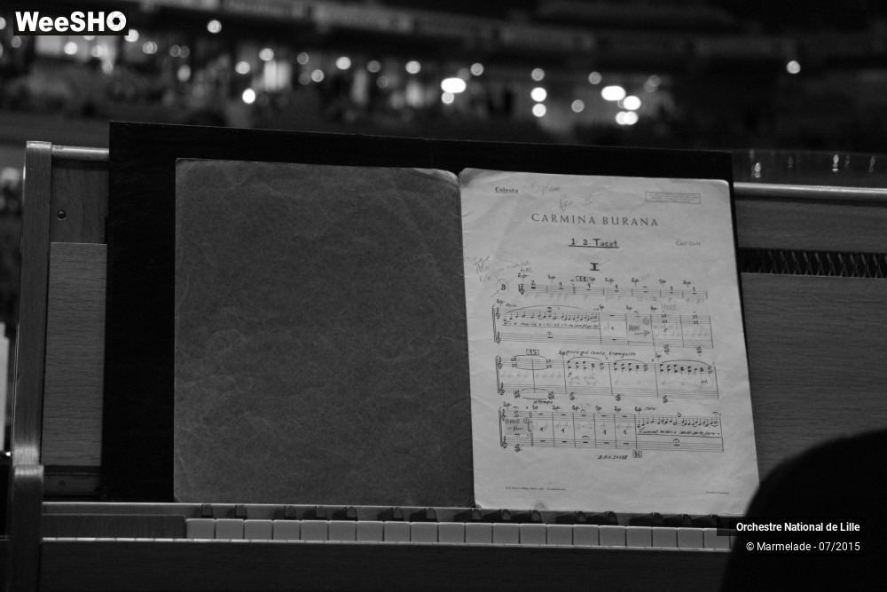 14/43 photos du spectacle Ambiance ONL Grand Stade