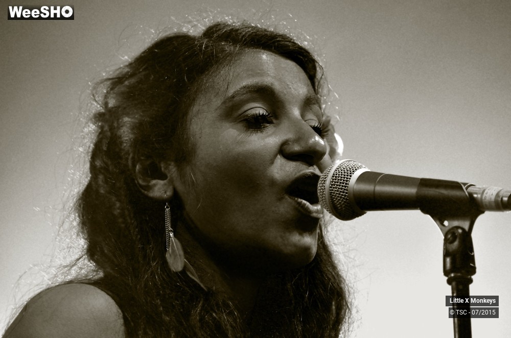 1/18 photos du spectacle Little X Monkeys