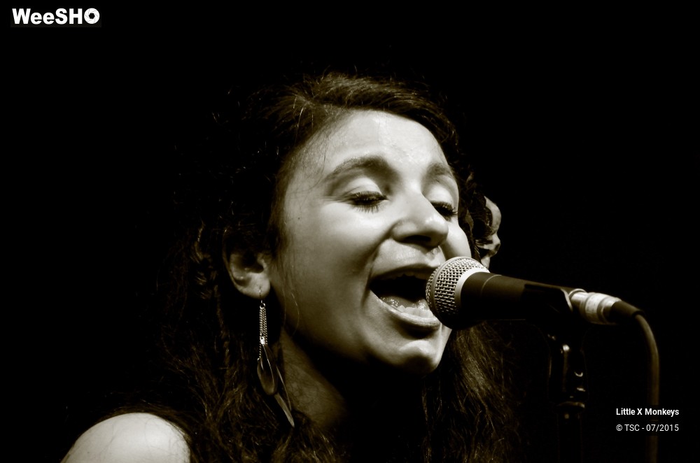 13/18 photos du spectacle Little X Monkeys