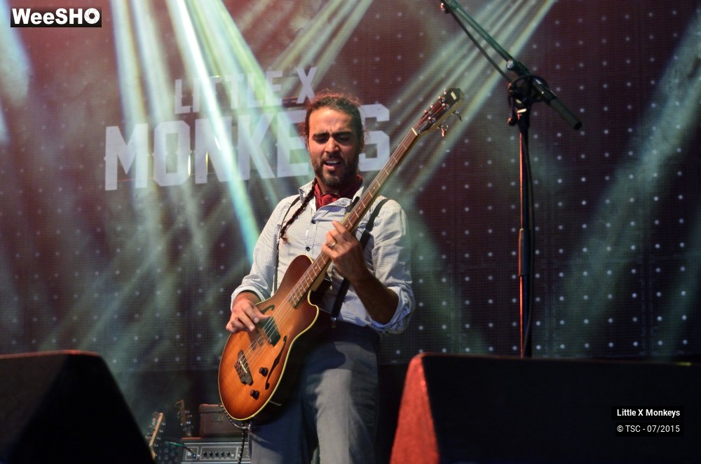 17/18 photos du spectacle Little X Monkeys