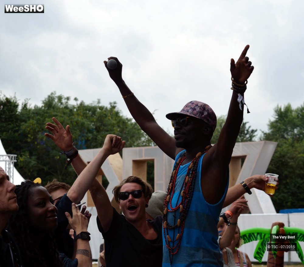 31/47 photos du spectacle The Very Best