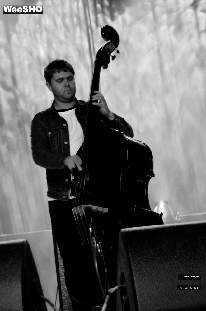 3/8 photos du spectacle GoGo Penguin