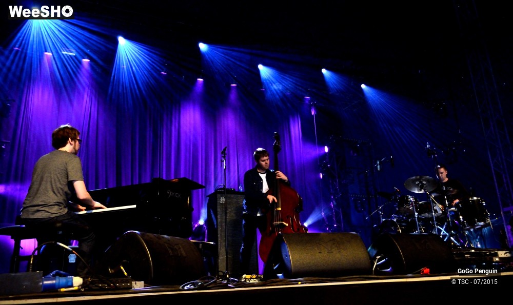 4/8 photos du spectacle GoGo Penguin