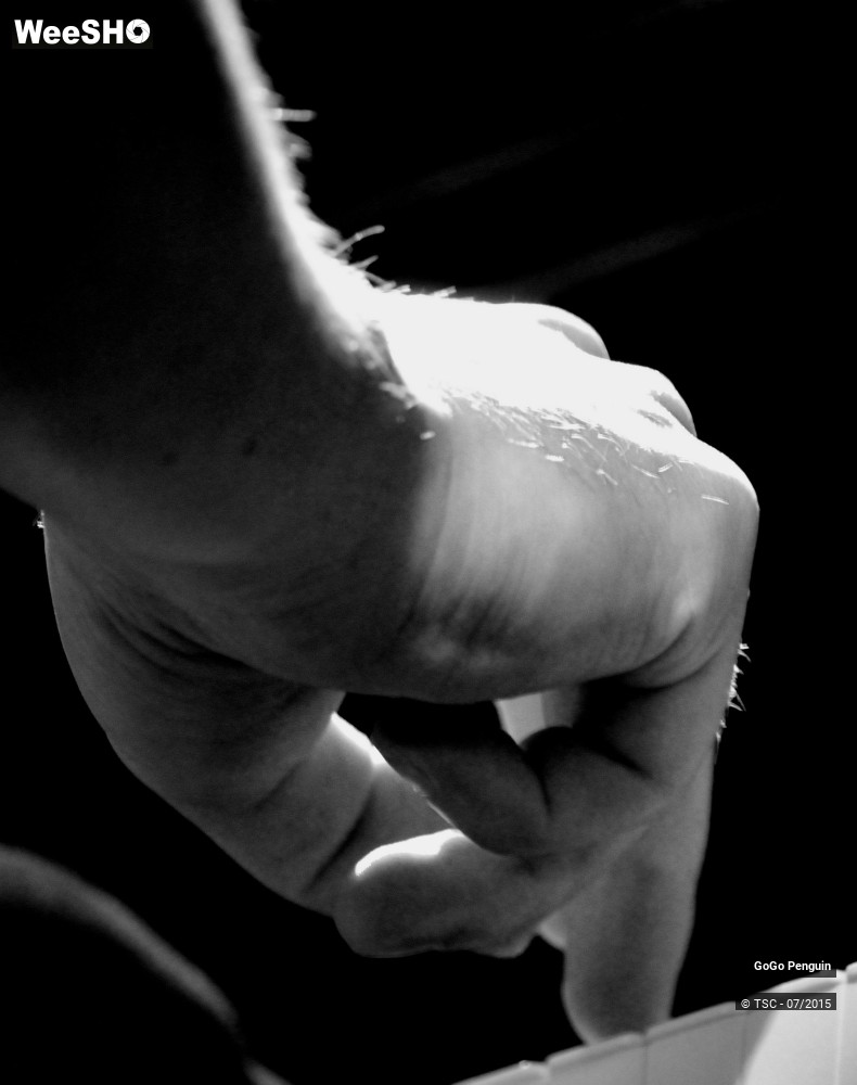5/8 photos du spectacle GoGo Penguin
