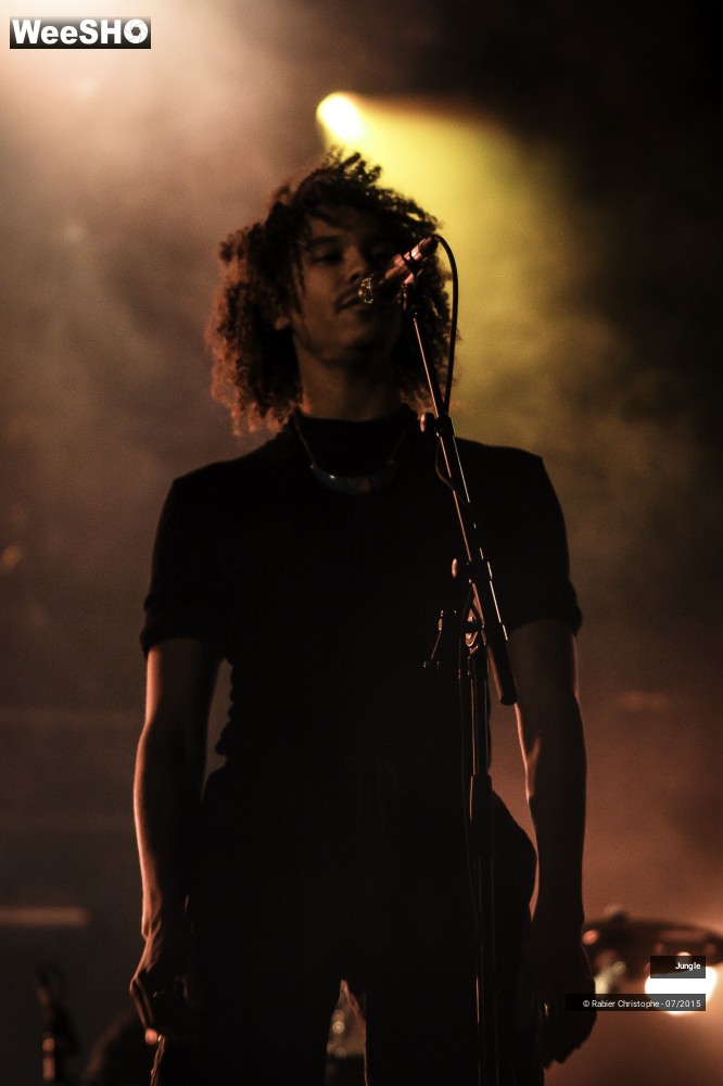 2/24 photos du spectacle Jungle