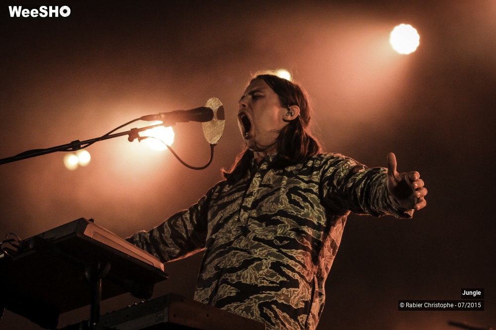 3/24 photos du spectacle Jungle