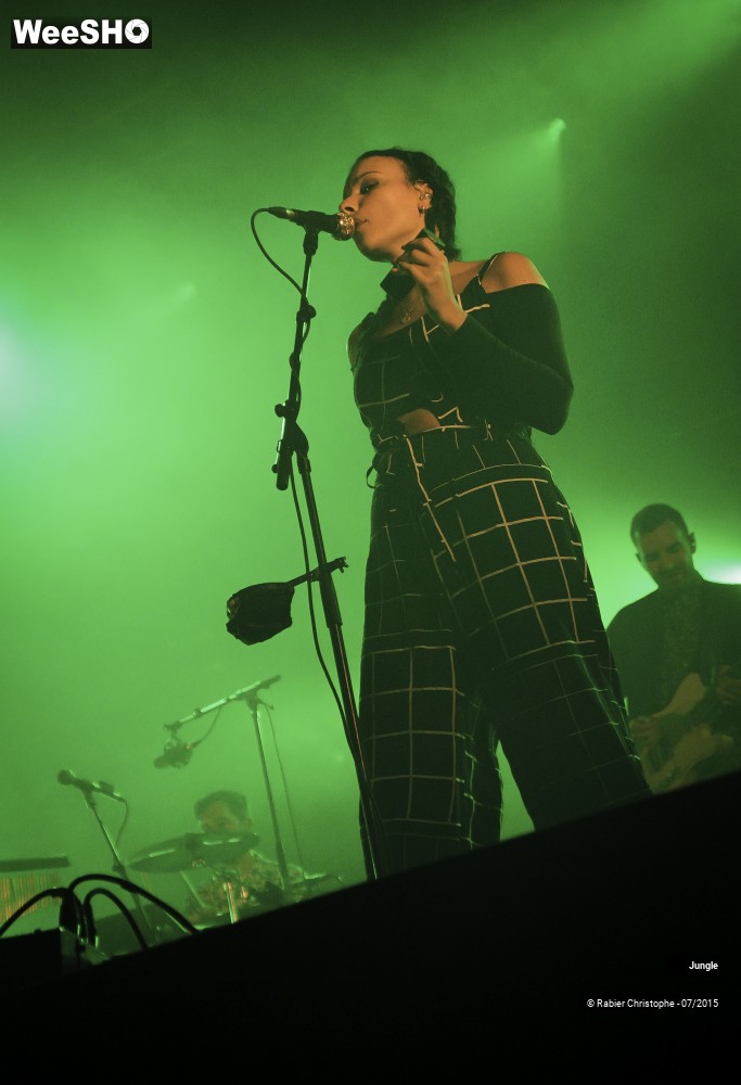 5/24 photos du spectacle Jungle