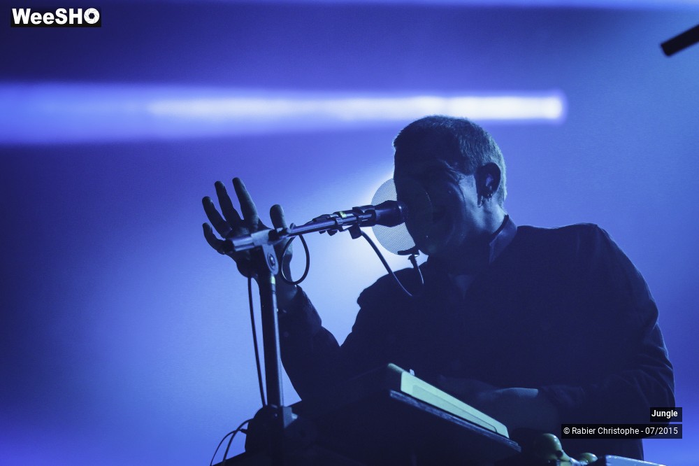 6/24 photos du spectacle Jungle