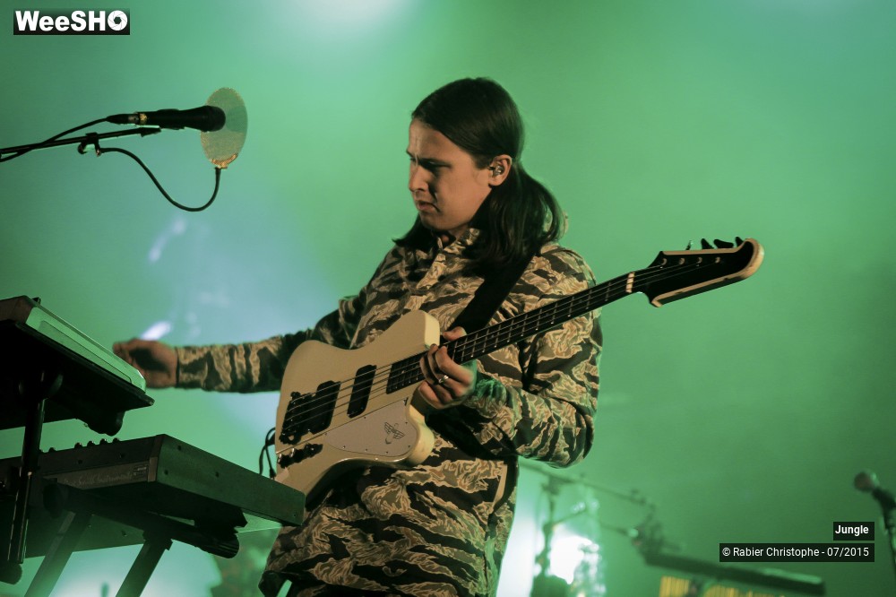 18/24 photos du spectacle Jungle