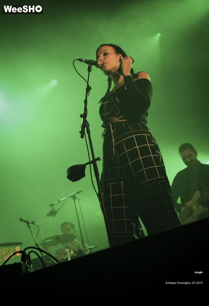 19/24 photos du spectacle Jungle