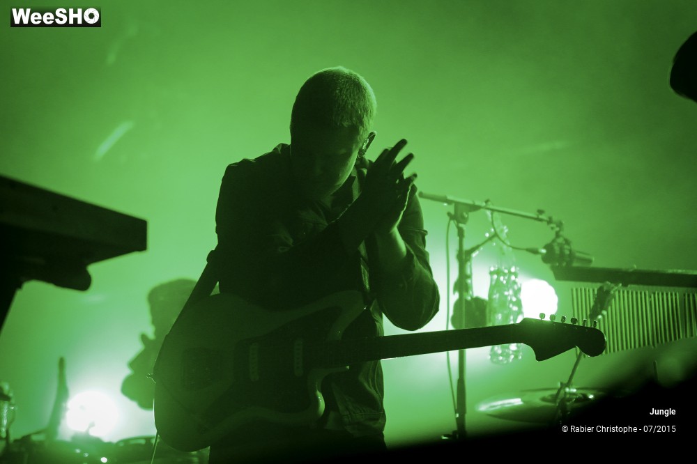 20/24 photos du spectacle Jungle