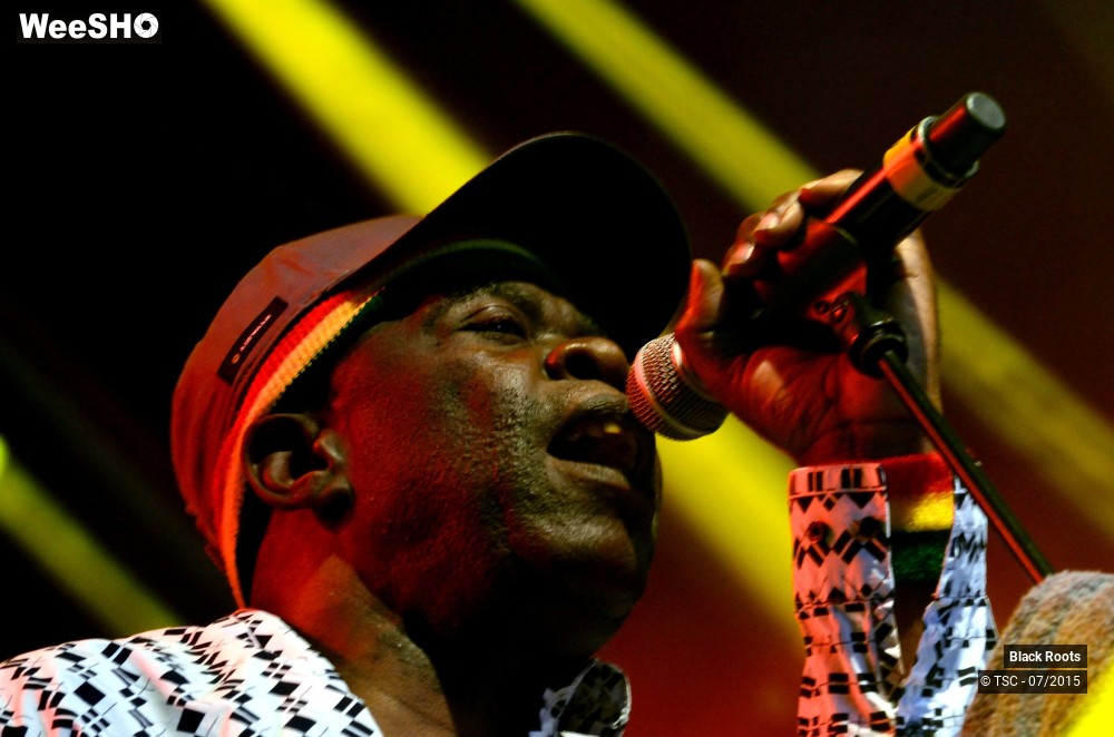 1/9 photos du spectacle Black Roots