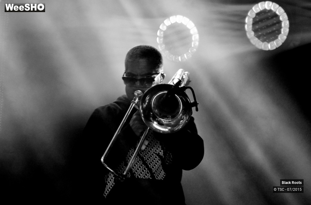 3/9 photos du spectacle Black Roots