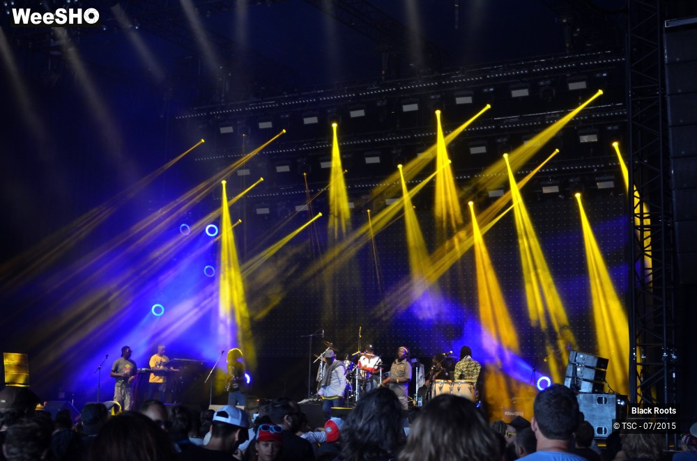 4/9 photos du spectacle Black Roots