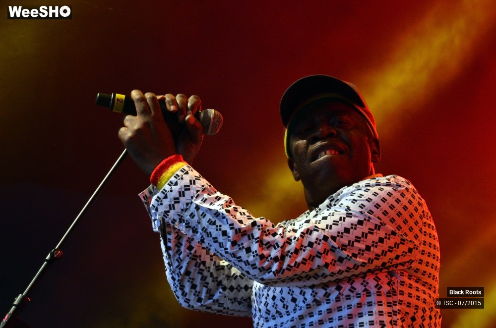 7/9 photos du spectacle Black Roots