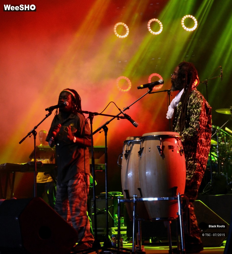 9/9 photos du spectacle Black Roots