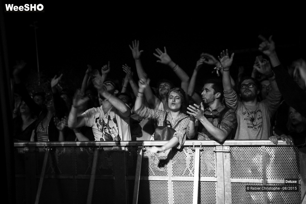 15/31 photos du spectacle Deluxe