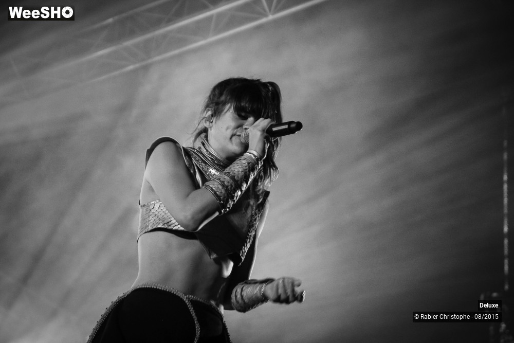 20/31 photos du spectacle Deluxe