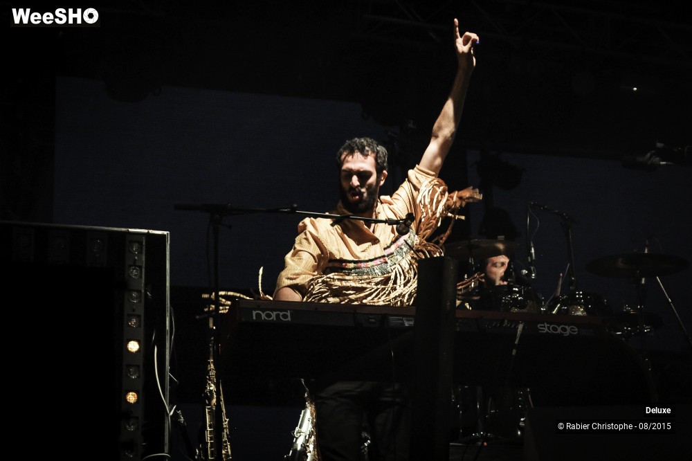 28/31 photos du spectacle Deluxe