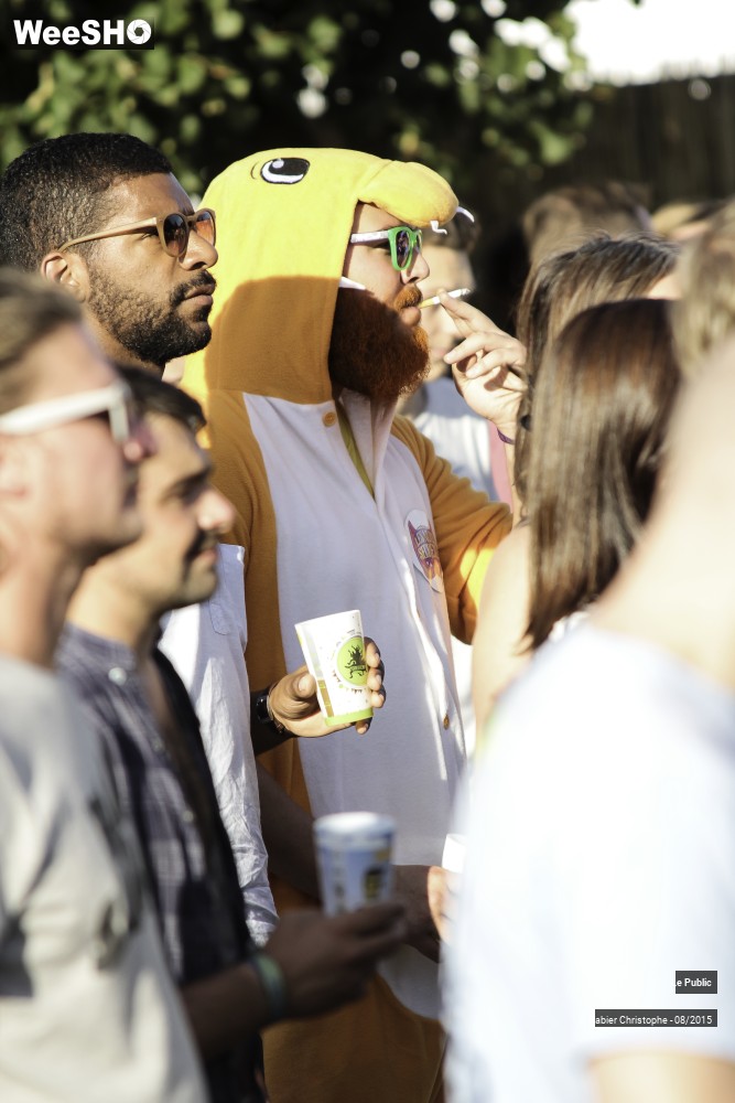 17/31 photos du spectacle ambiance Les Nuits Secretes 2015