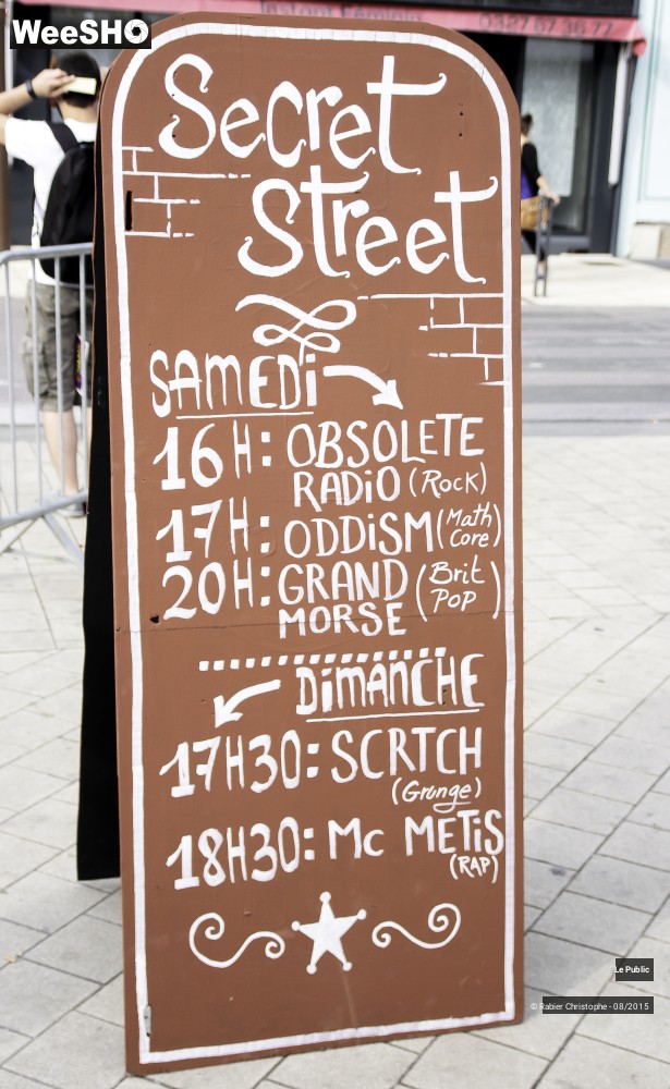 23/31 photos du spectacle ambiance Les Nuits Secretes 2015