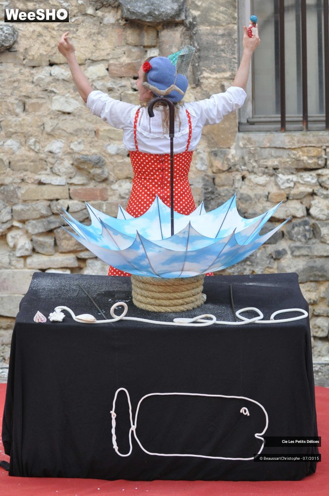 39/46 photos du spectacle Maritime