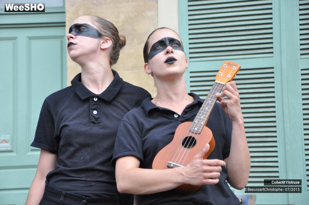 15/41 photos du spectacle Le Tour de Chant de l'Intruse