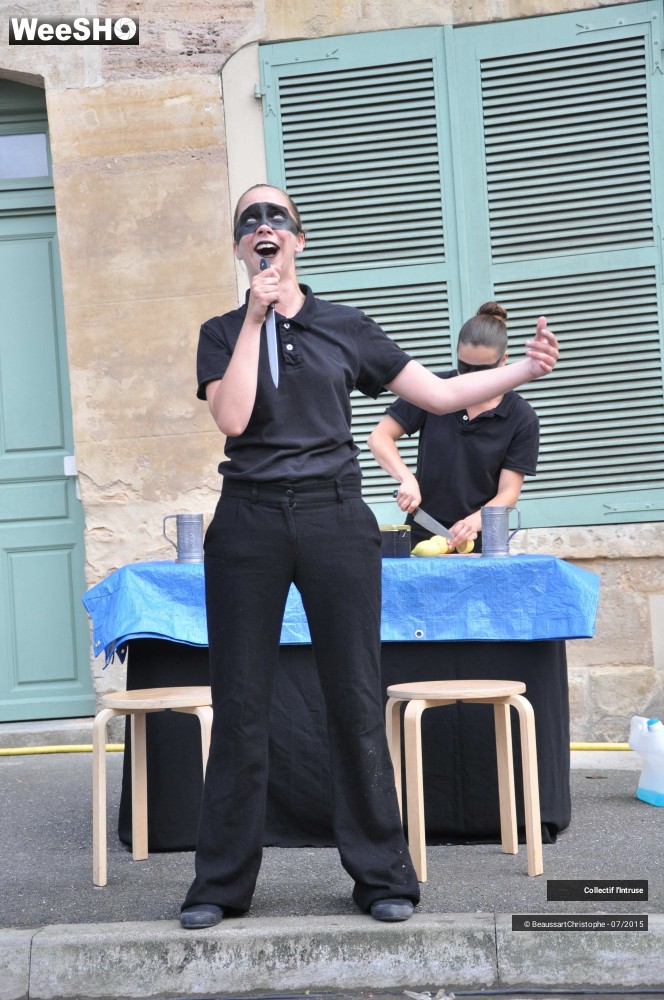 20/41 photos du spectacle Le Tour de Chant de l'Intruse