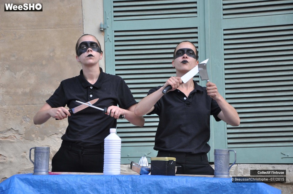22/41 photos du spectacle Le Tour de Chant de l'Intruse