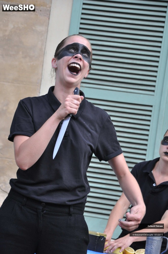 28/41 photos du spectacle Le Tour de Chant de l'Intruse