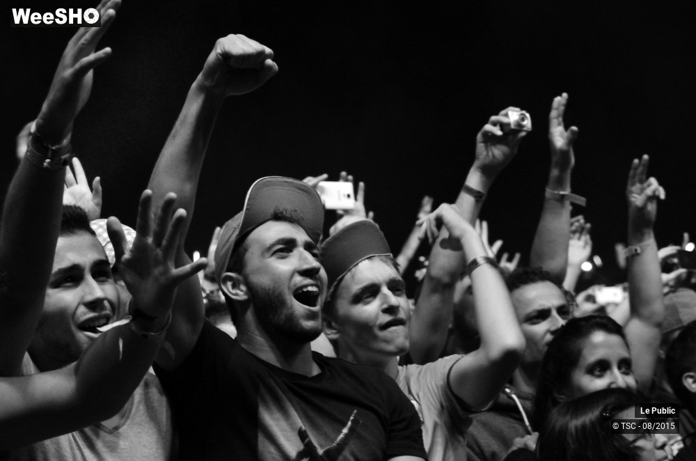 4/20 photos du spectacle Ambiance Cabaret vert Jour 1