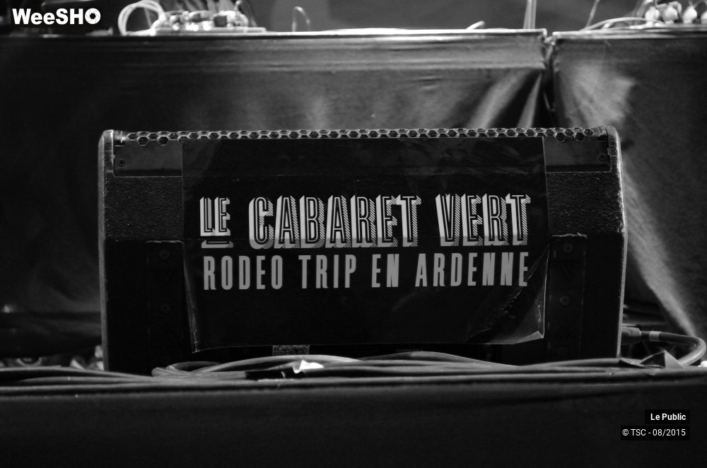 5/20 photos du spectacle Ambiance Cabaret vert Jour 1