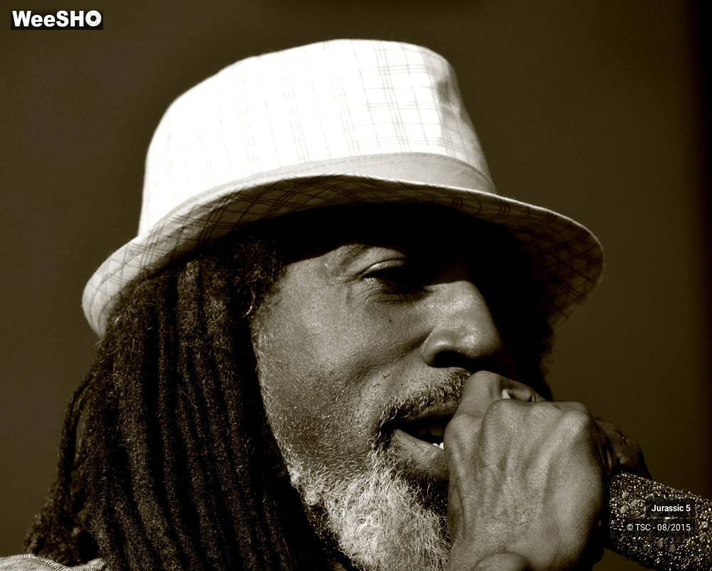 14/18 photos du spectacle Jurassic 5