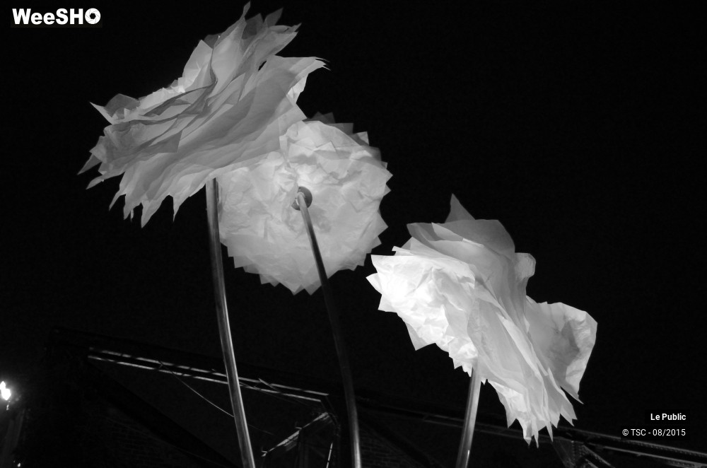 1/29 photos du spectacle Ambiance Cabaret vert Jour 2