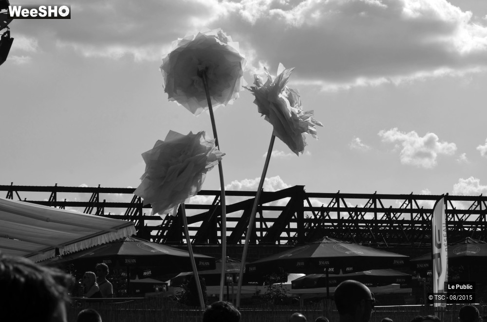 6/29 photos du spectacle Ambiance Cabaret vert Jour 2